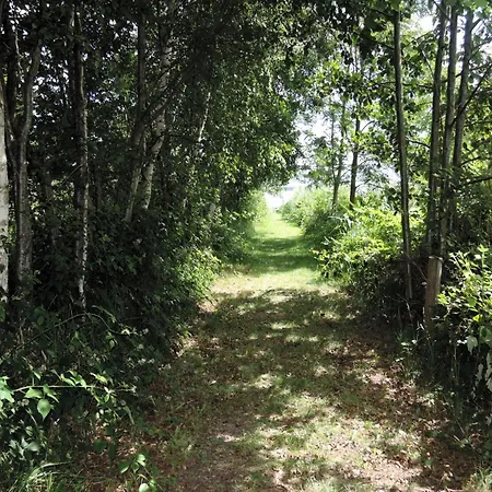 Peaceful In Scenic Ko Czewo Kolczewo