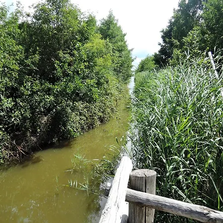 Peaceful In Scenic Ko Czewo Kolczewo