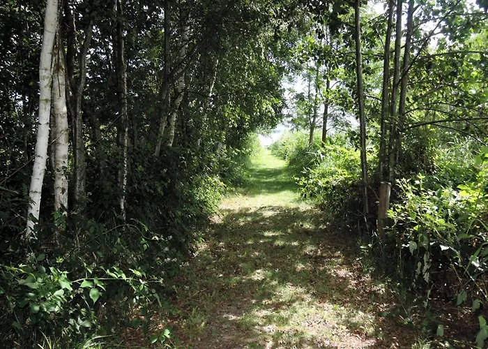 Peaceful In Scenic Ko Czewo Kołczewo