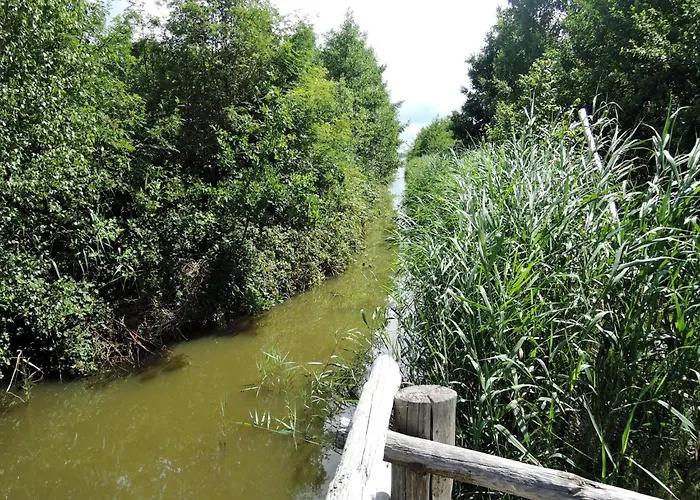 Peaceful In Scenic Ko Czewo Колчево
